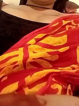 Simple_sover1 webcam