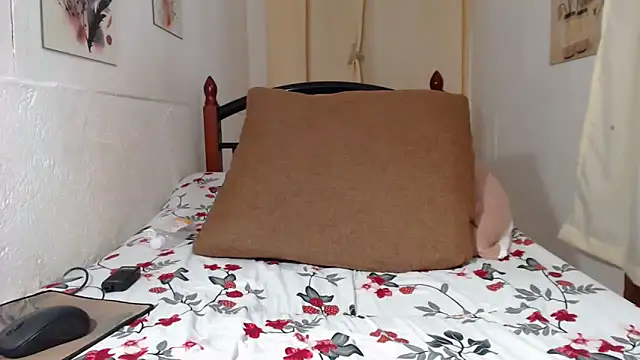 applewetdream webcam