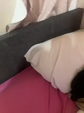 silverbay-456 webcam