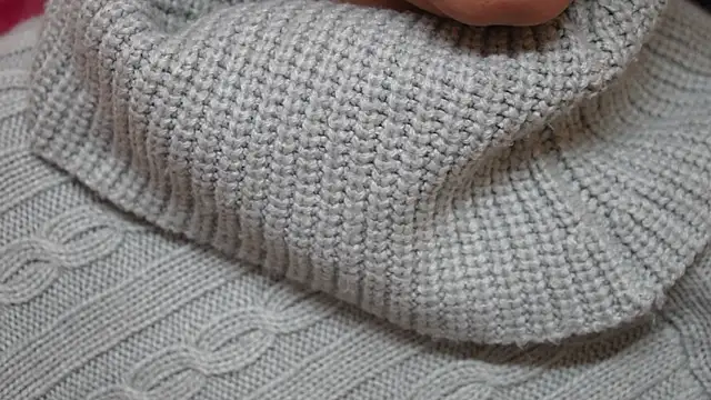 -AyeshaSinghania- webcam