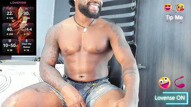 Dancelwashington webcam