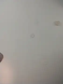 Alleinzuhause webcam