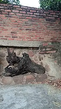 sweet_outdoor_charm webcam