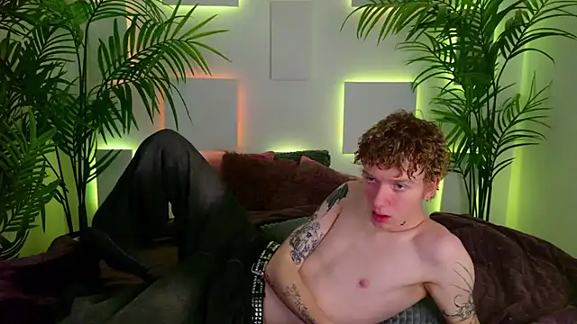 TRAVIS_CLAS webcam