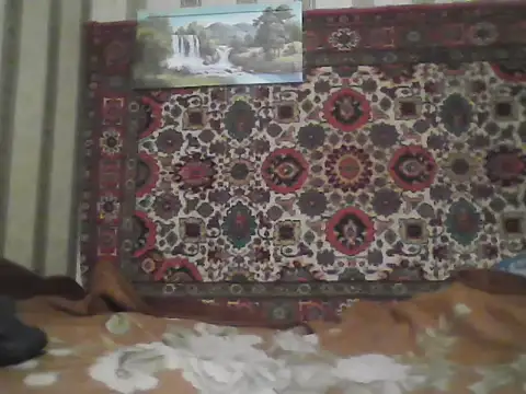 AlferezzSolvajo webcam