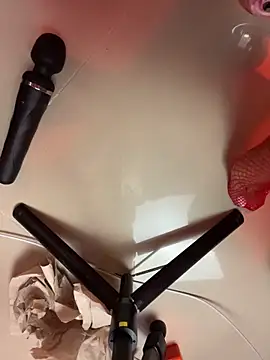 Alice_winter_ webcam