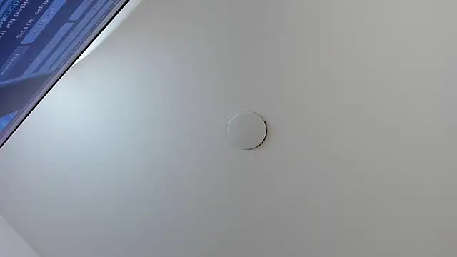 AlaskaFlowerss_ webcam