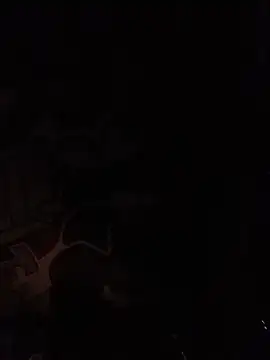 Twoslipperywhenwett webcam