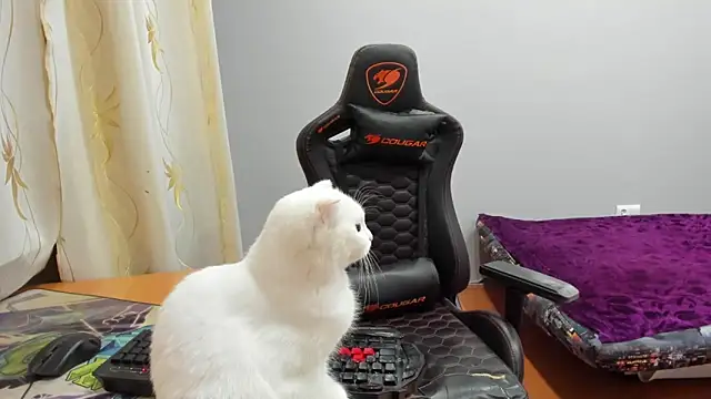 iliaskrislove webcam