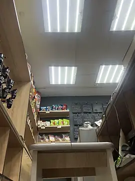 AlishaOfThorns webcam