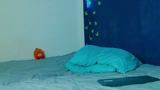 arnold_laurent_ webcam