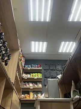 AlishaOfThorns webcam