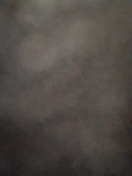 CrookedBunk3527 webcam