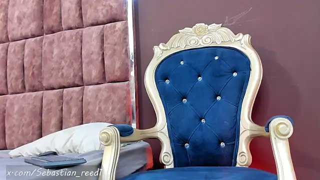 Sebastian_Reed webcam