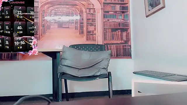 Brittany_colorado webcam