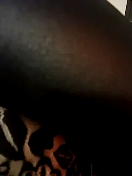 AryaSummersReal webcam