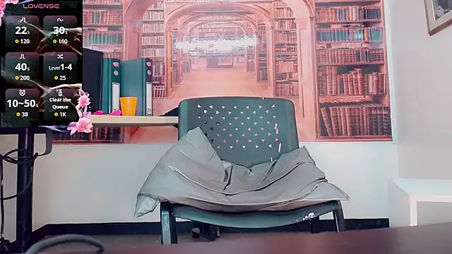 Brittany_colorado webcam