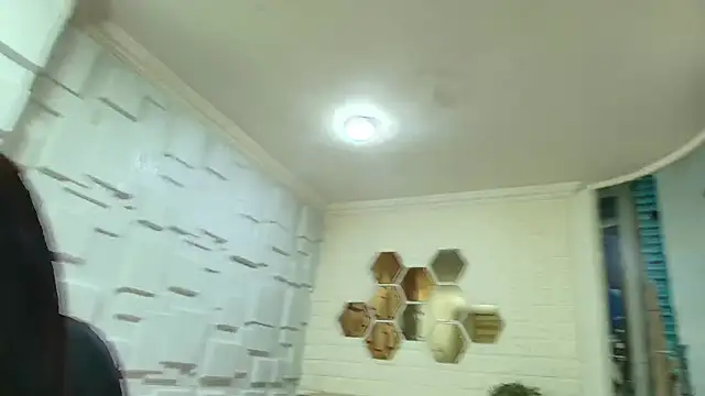 CharlotteSchmidtt webcam