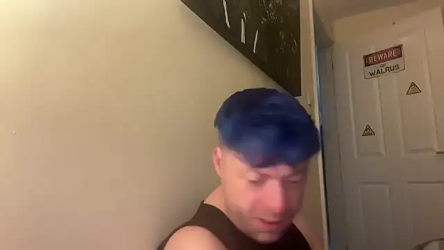 DelayedAnalog720 webcam