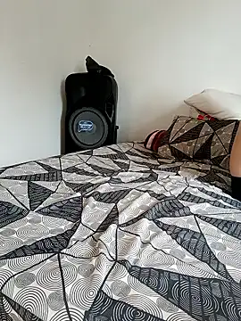 LEIRIS_Y_FRED_01 webcam