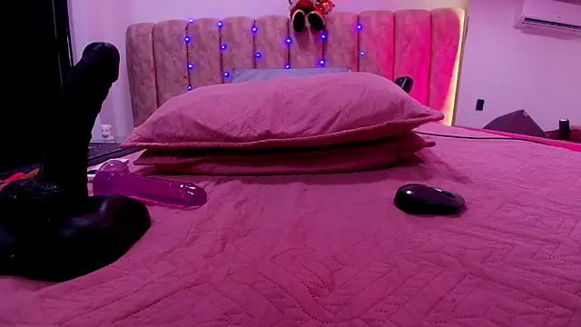 Auroraa_miller webcam