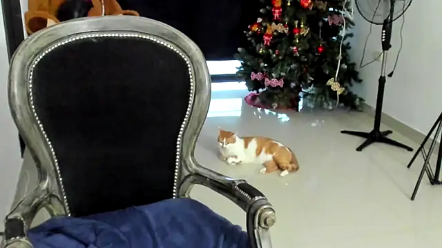 __Emma__11__Lecat_ webcam