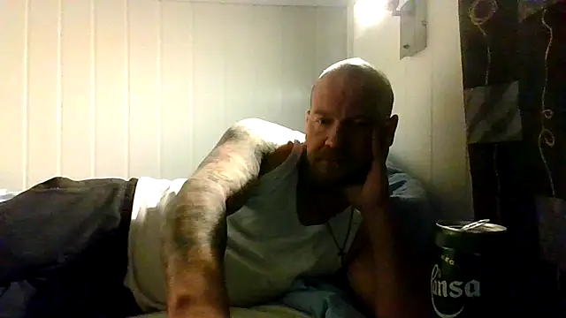 Real_viking webcam