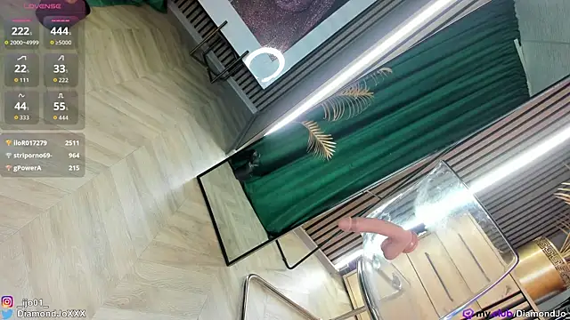 DiamondJo_ webcam