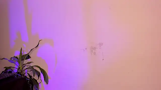 Michell_Whitets webcam