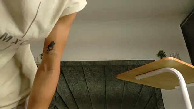 LoganRyder_OS webcam