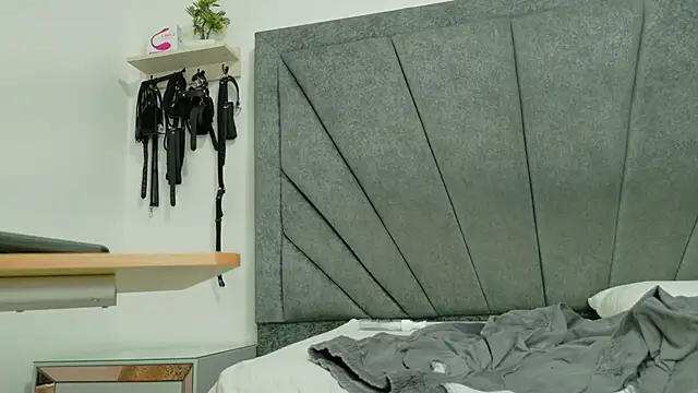 LoganRyder_OS webcam