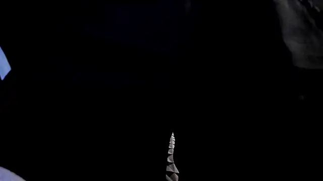 Mastrangelo_xxx webcam