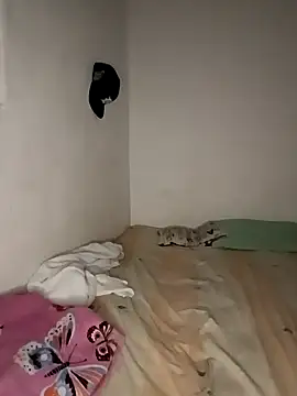 Karoline_milf_hot webcam