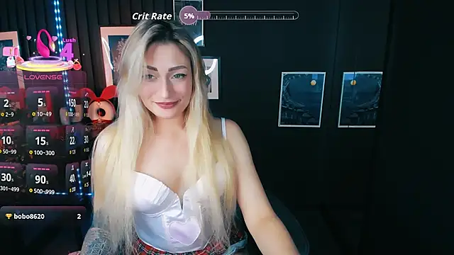 AugustineMagnetic webcam