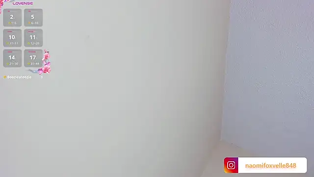 _Naomi_Fox_ webcam