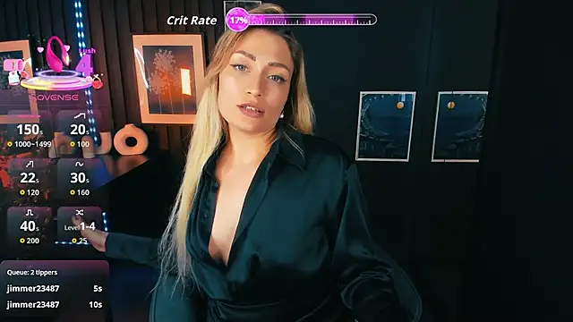 AugustineMagnetic webcam