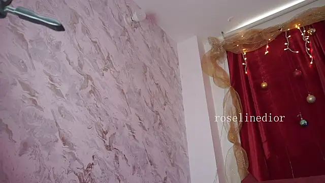 roselinedior's room