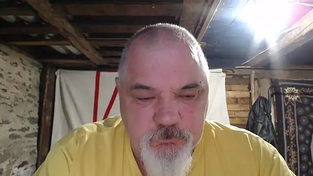 Newfiesausage1972 webcam