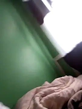 Bellatriz-horse webcam