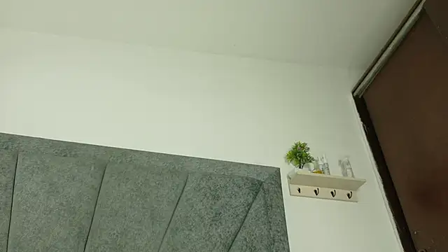 LoganRyder_OS webcam