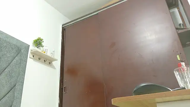 LoganRyder_OS webcam