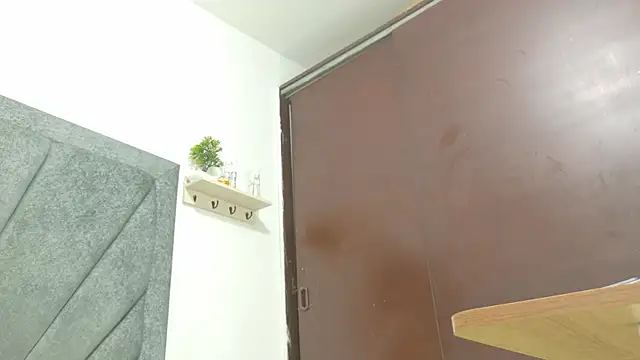 LoganRyder_OS webcam