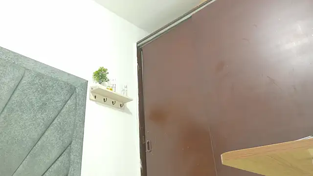 LoganRyder_OS webcam