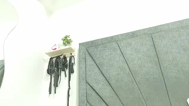 LoganRyder_OS webcam