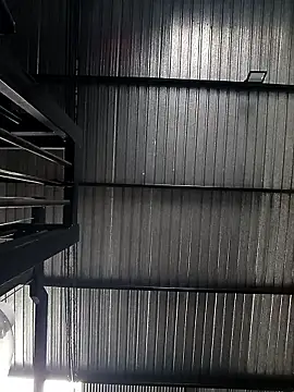 Kingbigcock23cm webcam