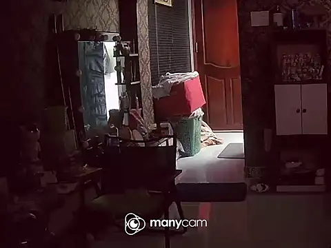 long18cmHFxxx webcam