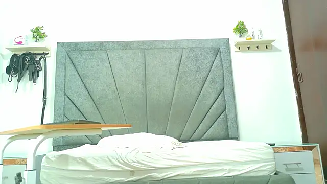 LoganRyder_OS webcam