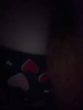 Reidelas20255 webcam