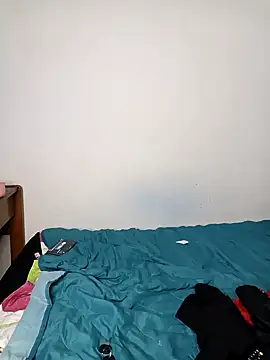 Kingbigcock23cm webcam