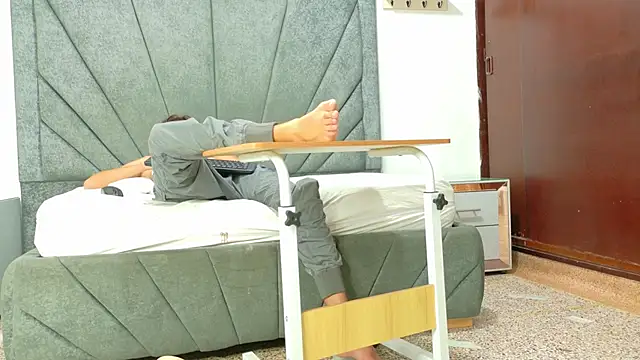 LoganRyder_OS webcam